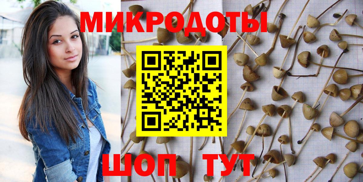 Псилоцибиновые грибы прущие грибы Горячий Ключ