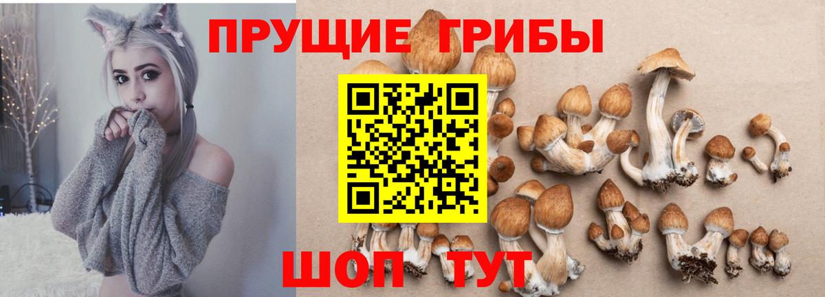 Горячий Ключ  магазин продажи наркотиков  Псилоцибиновые грибы мицелий  Вход с VPN  Галлюциногенные грибы мицелий 